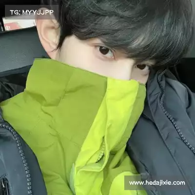 晏清飚